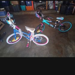 2 New Bikes