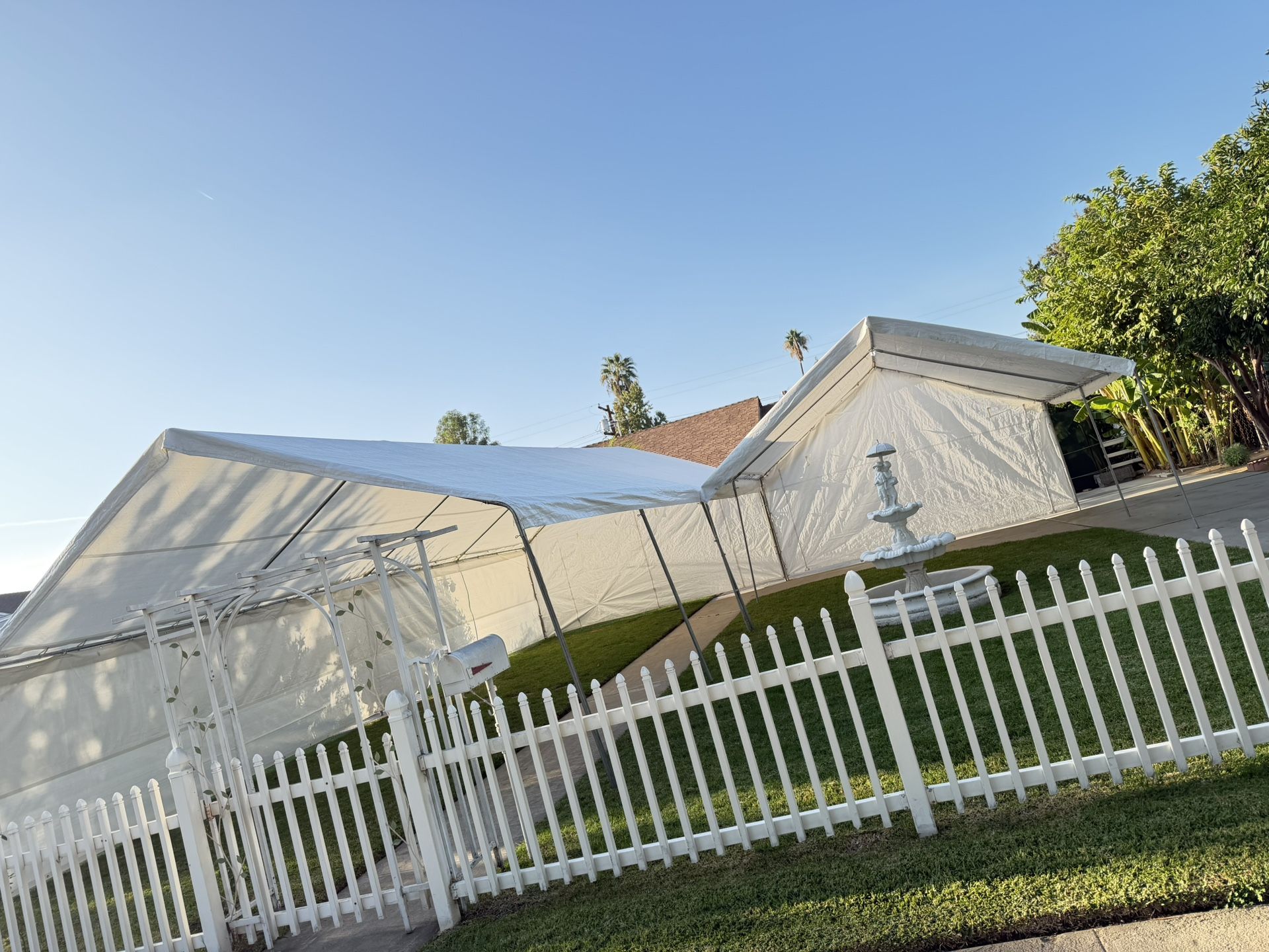 Fiesta π₯³ Fiesta π