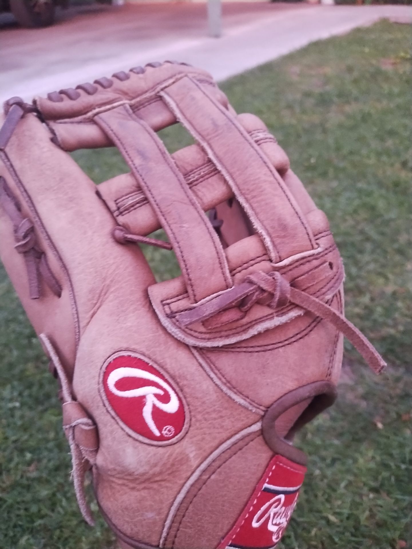 Baseball Glove