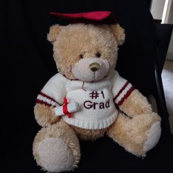 Graduation Teddy Bear 