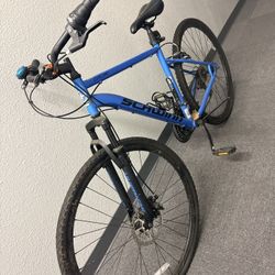 Looking For A Bike
