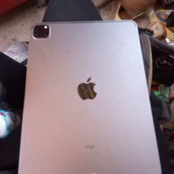 Ipad 11 5th Gen