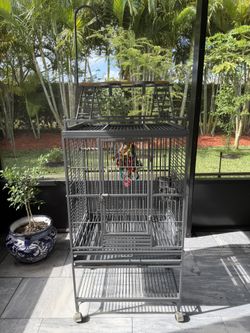 Large Metal Bird Cage