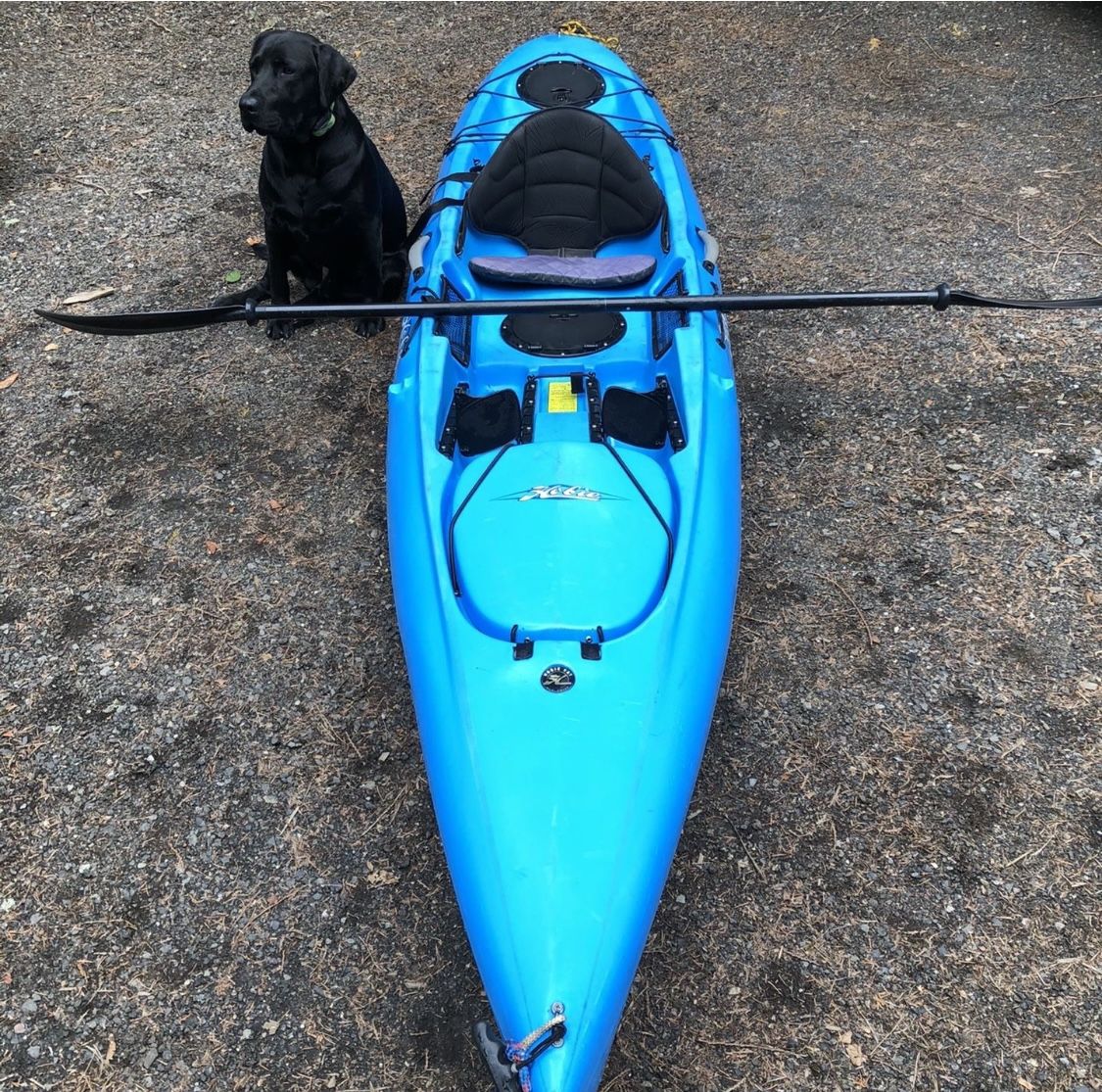 Kayak (2019 Hobie Quest 13)