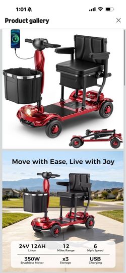 Adult scooter