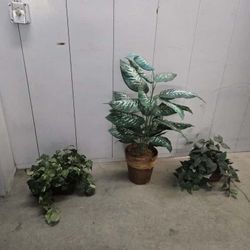 Fake Plants Set Of 3 For $50