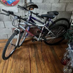 Roadmaster Mt Fury Bikes