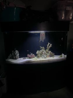 120 gallon aquarium