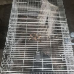 Hamster/snake /hyena/ It’s A Whatever Cage