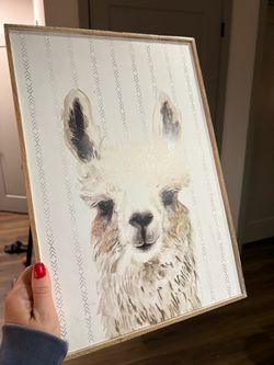 Framed Llama Wall Art