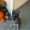 Amy