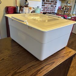 Dimchae Vegetable Storage Container