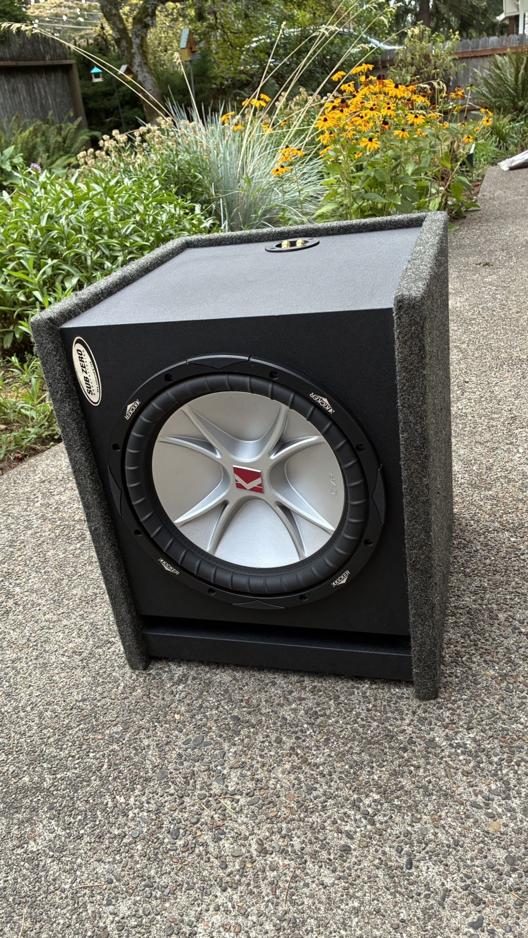 12 Inch Subwoofer For Car