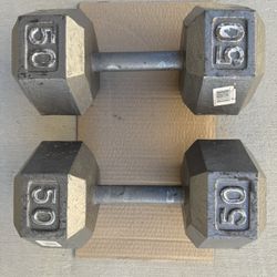 Cast Iron Workout Dumbbells 50 Lbs.