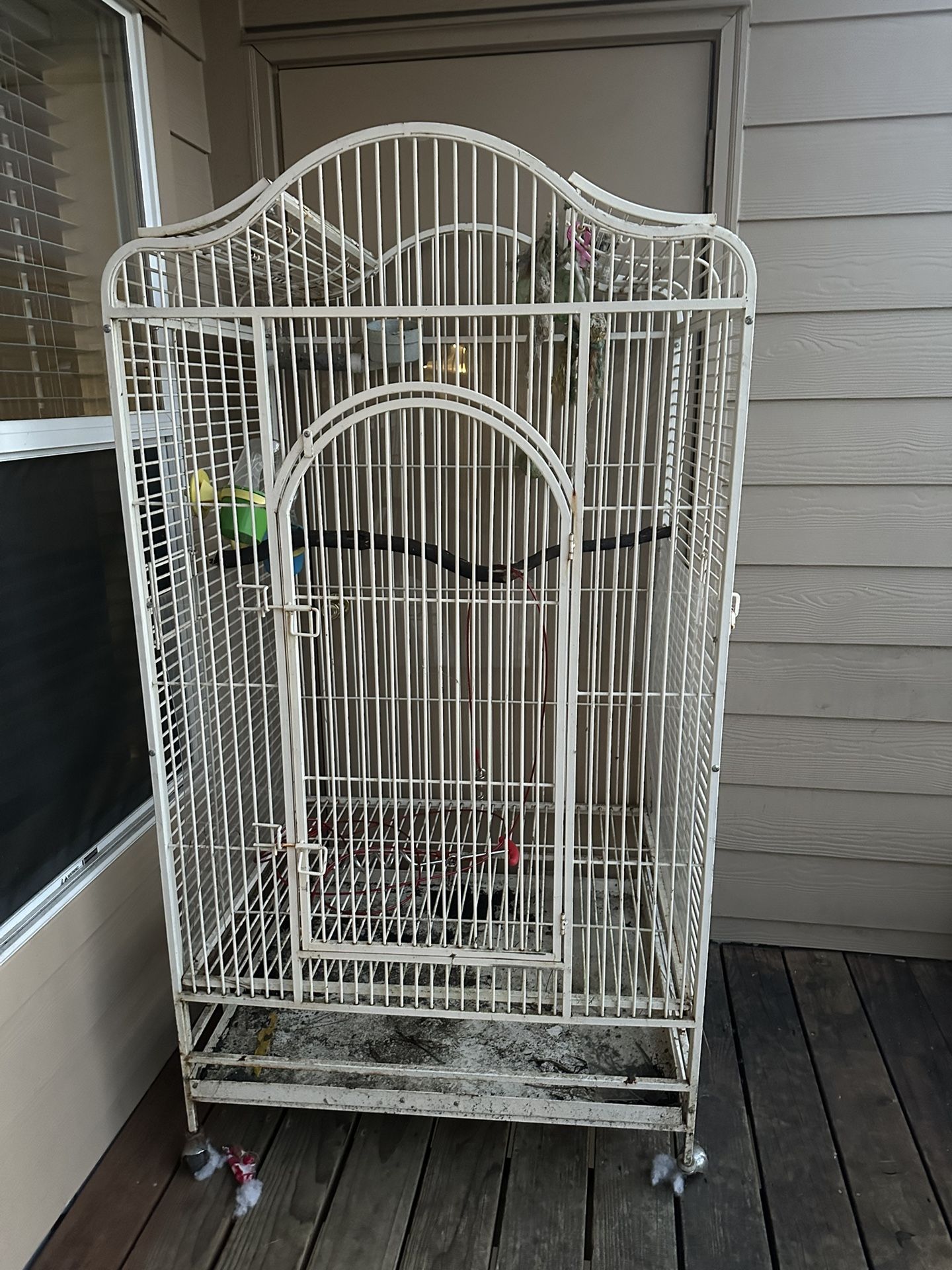 Bird Cage