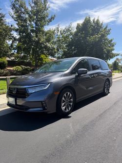2023 Honda Odyssey