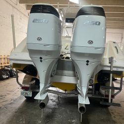 Suzuki Outboards 250