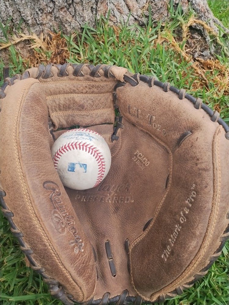 Catchers Glove