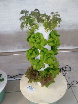 Most Productive Tower Garden (5 Sections, 20 Plant Ports)