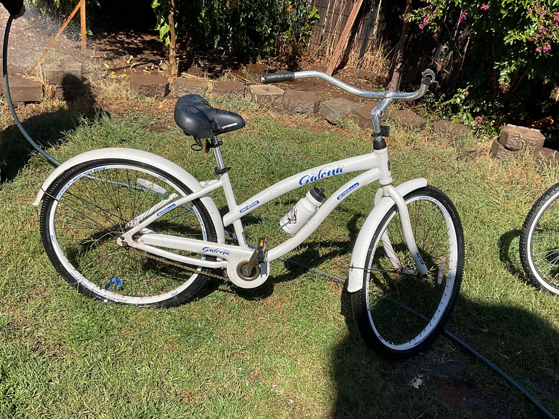 Genesis Galena Bike
