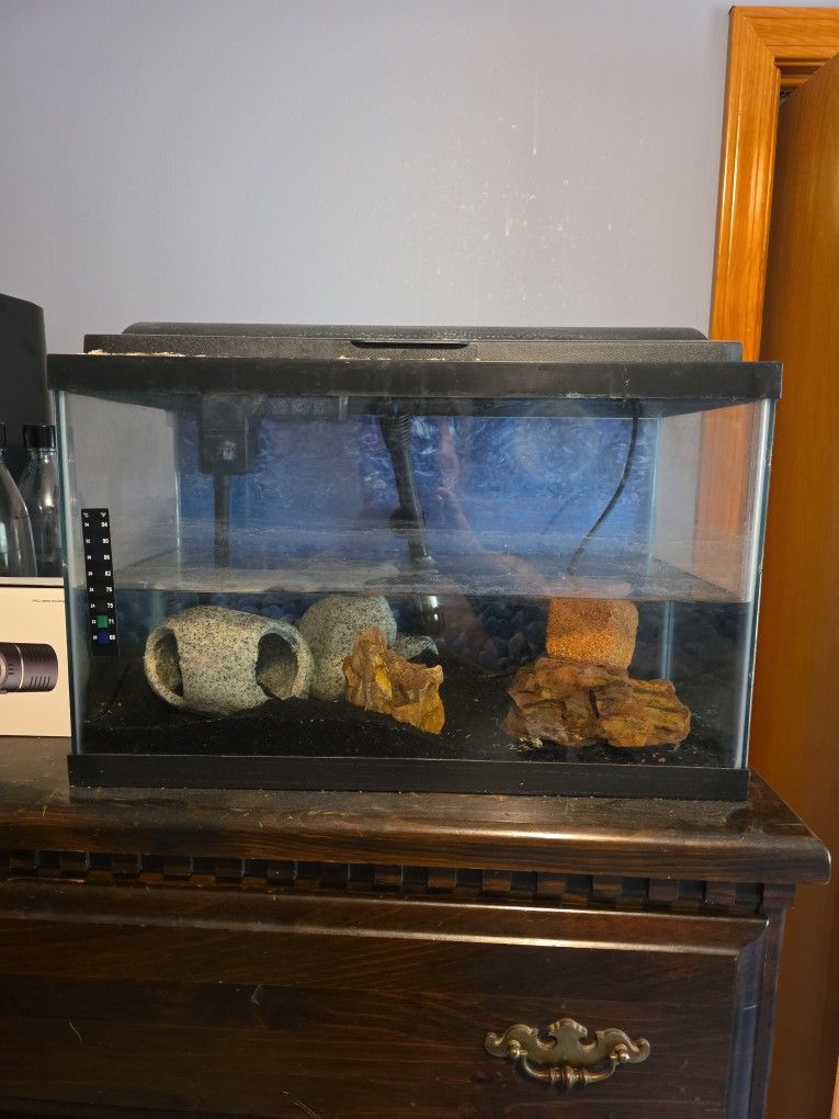 10 Gallon Fish Tank