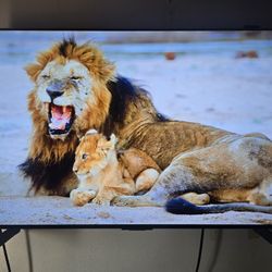 LG C3 Series 42-Inch Class OLED evo 4K TV