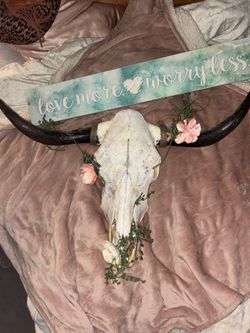 Bull skull with horns