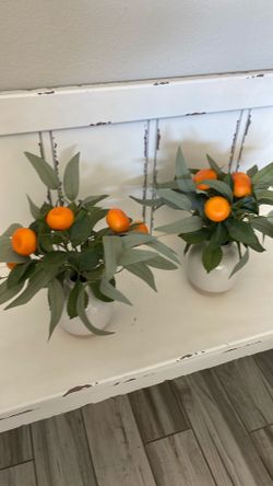 2 fake tangerine plant decoration in pot