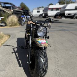 2025 - Real Tree 200