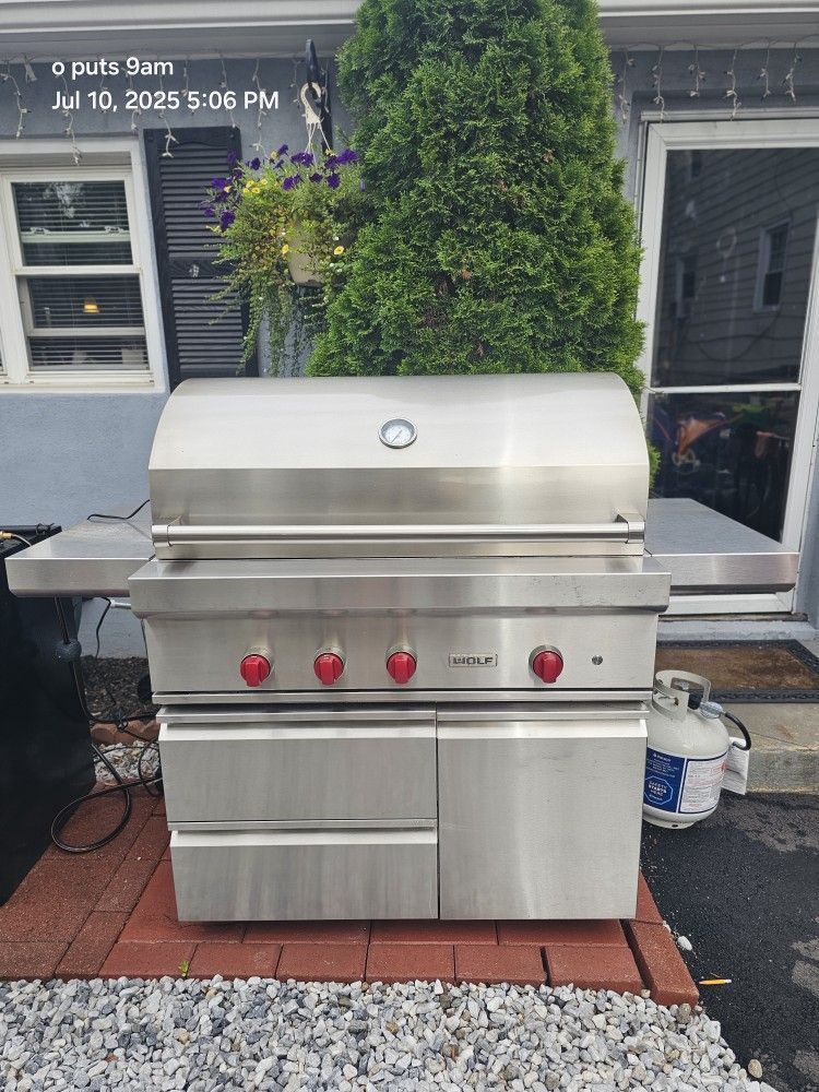 42in Wolf BBQ Grill Free Standing