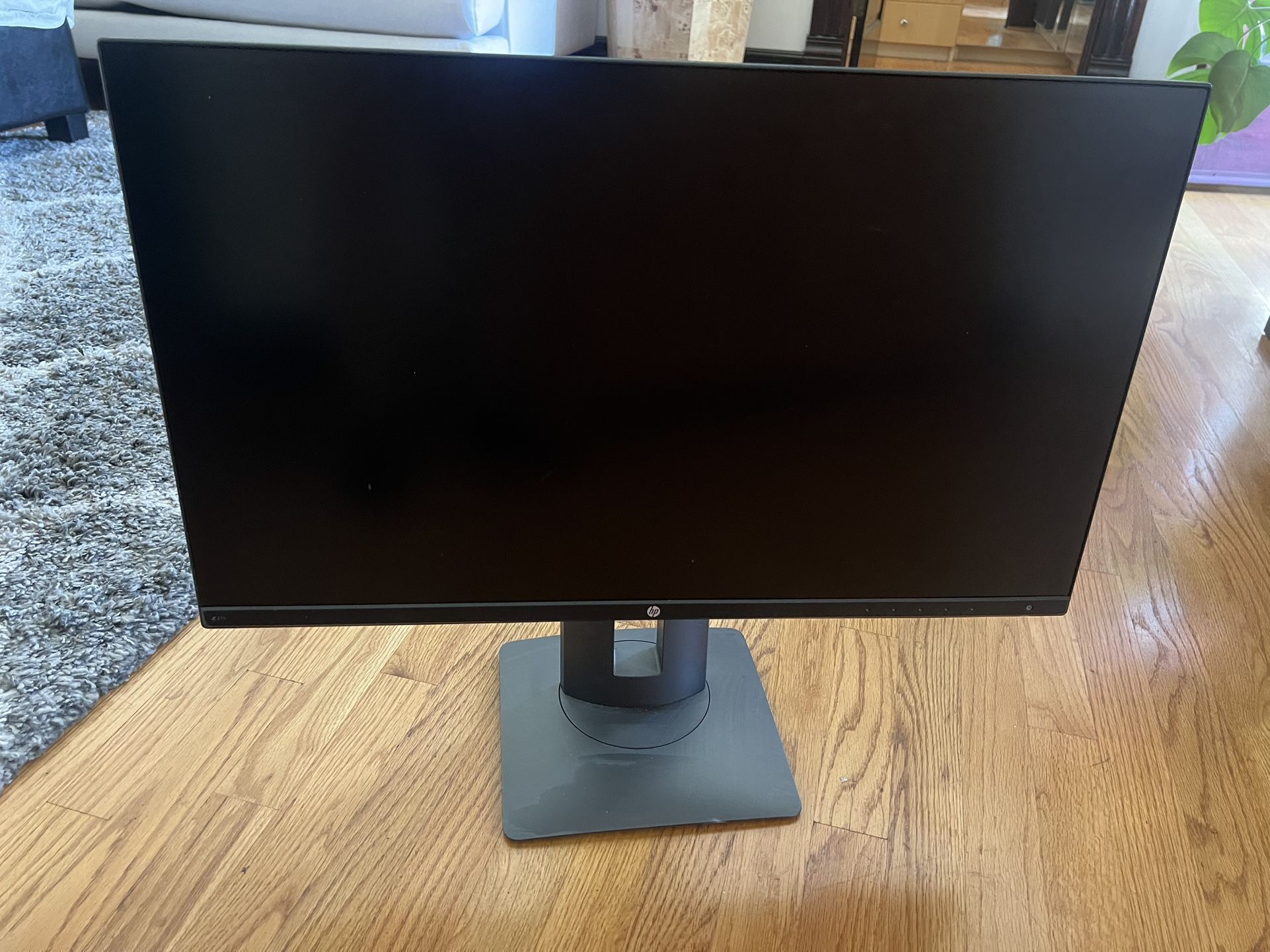 HP Series 24” monitor