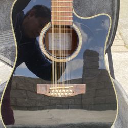 Takamine EG531SSC-12