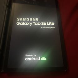 Samsung Galaxy S6 Lite 