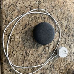 Google Home Mini Voice Assistant