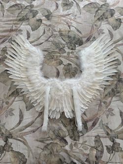 Angel wings costume