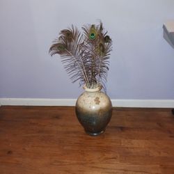 Fake Peacock Plant