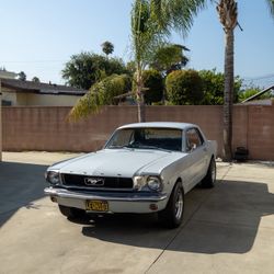 1966 Ford Mustang