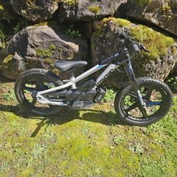 Staycic 18 Electric Bike Kids