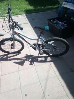 Schwinn bike