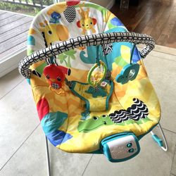 Baby Bouncer 