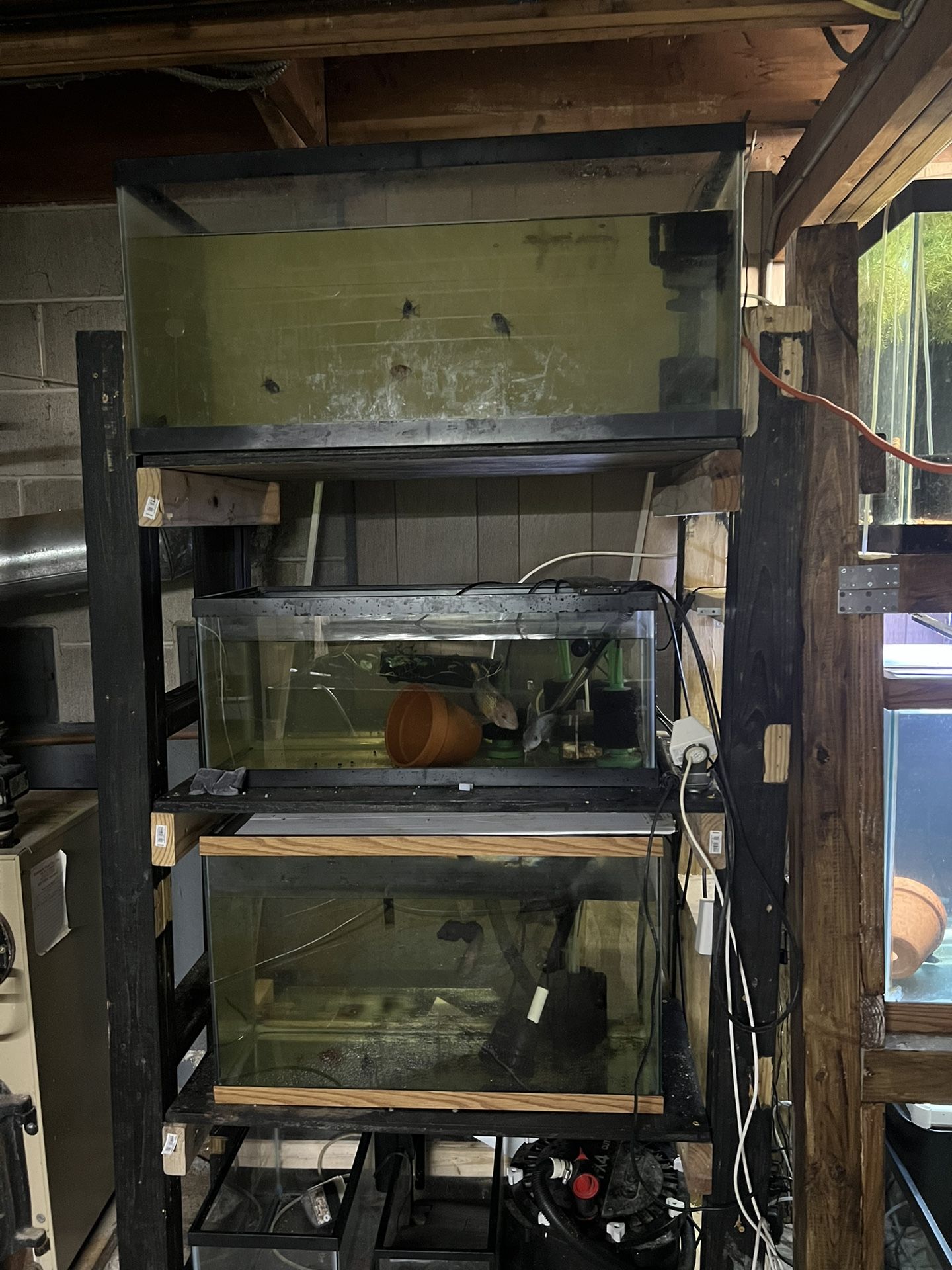 Fish tank Sale