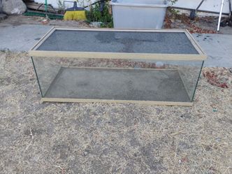 reptile tank