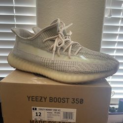 Yeezy 350 NR Citrin Worn Size 12