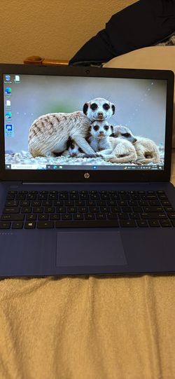 hp stream laptop