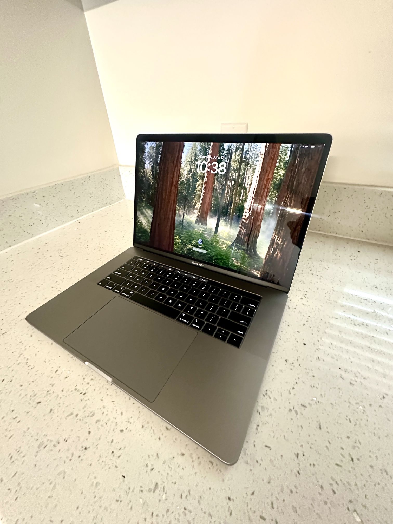 MacBook Pro (2019)