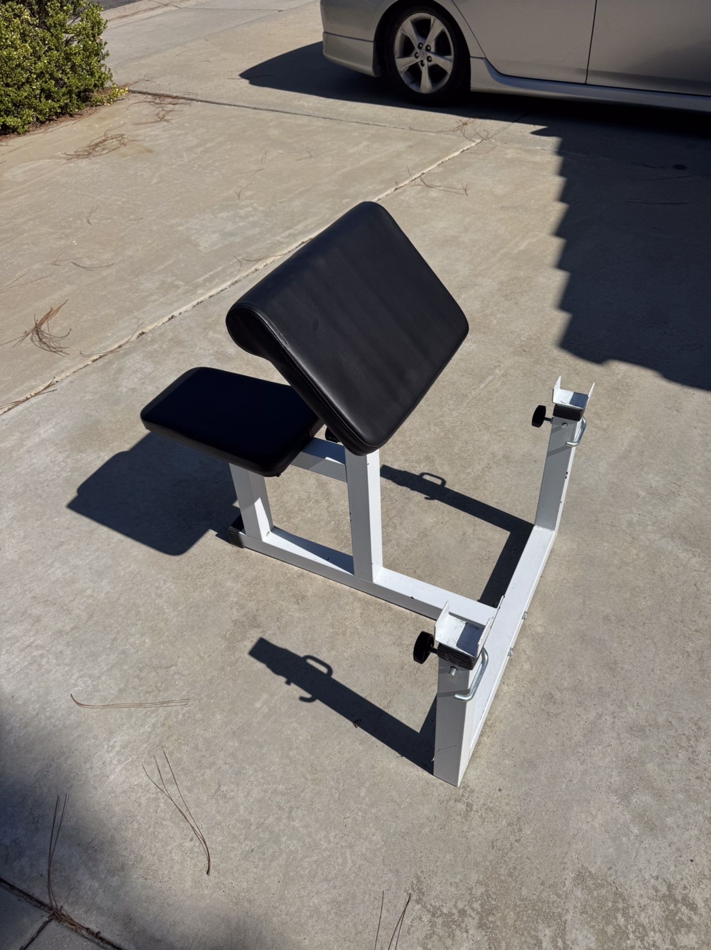 Preacher Curl Bench And Curl Bar