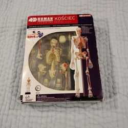 Polish 4D Human Anatomy Skeleton Kościec puzzle From Poland.
