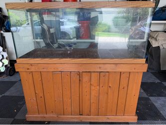 Reptile Tank - Free