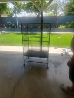 Bird Cage
