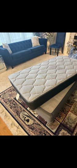 Twin Mattress/box Spring :metal Frame
